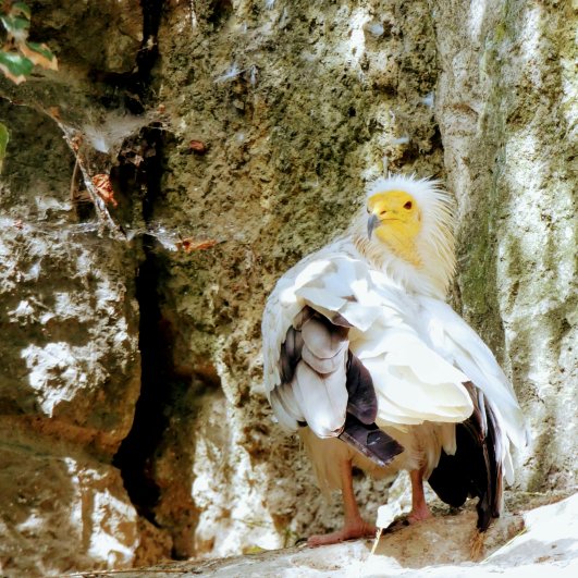 Vogelpark in Villars des Dombes